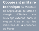 Coopérant militaire technique au Ministère de l’Agriculture du Maroc : chargé d’études sur l’élevage extensif dans le moyen Atlas et sur les industries de la conserve au Maroc