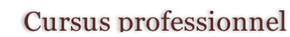 Cursus professionnel